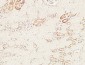 Endoglin Polyclonal Antibody